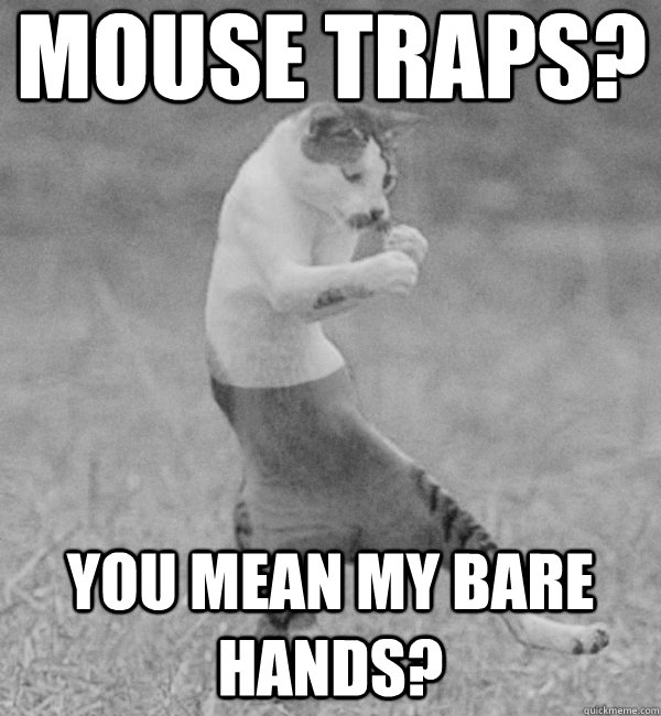 Mouse Traps You Mean My Bare Hands Funny Mouse Meme Image