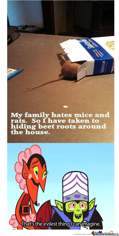 My Family Hates Mice And Rates So I Have Taken To Hiding Beet Roots Around The House Funny Mouse Meme Image