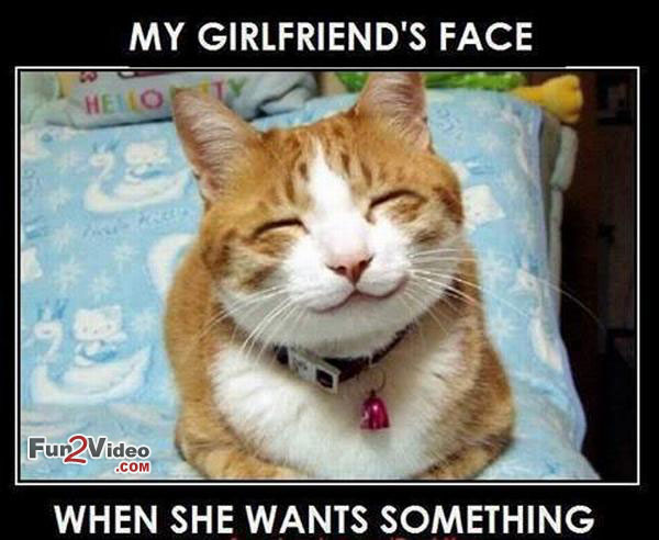 25 Very Funny Girlfriend Meme Pictures And Images That ...