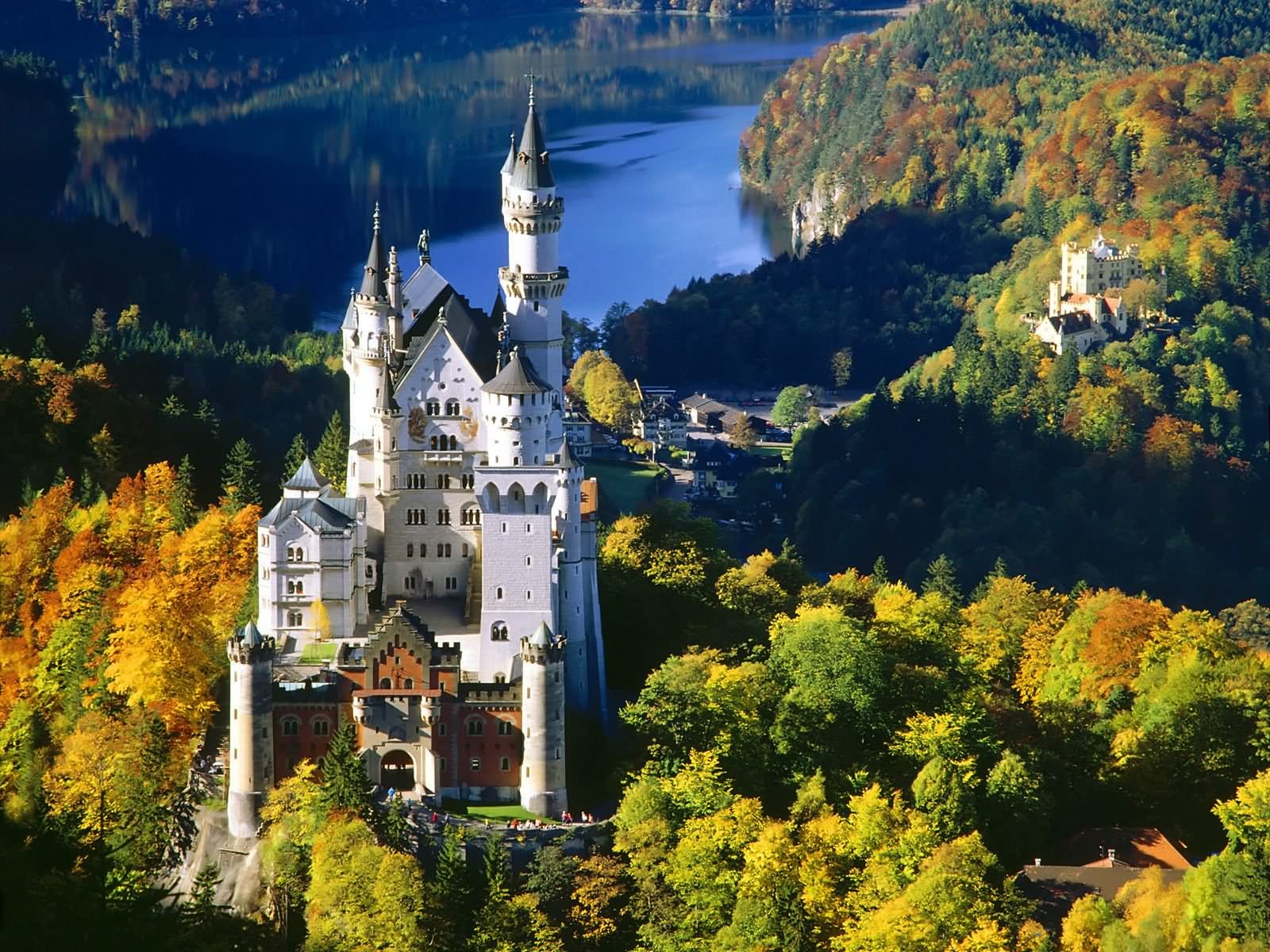 Neuschwanstein Castle During Autumn Picture