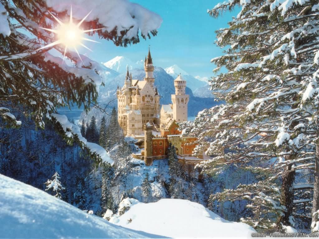 Neuschwanstein Castle During Winters Picture