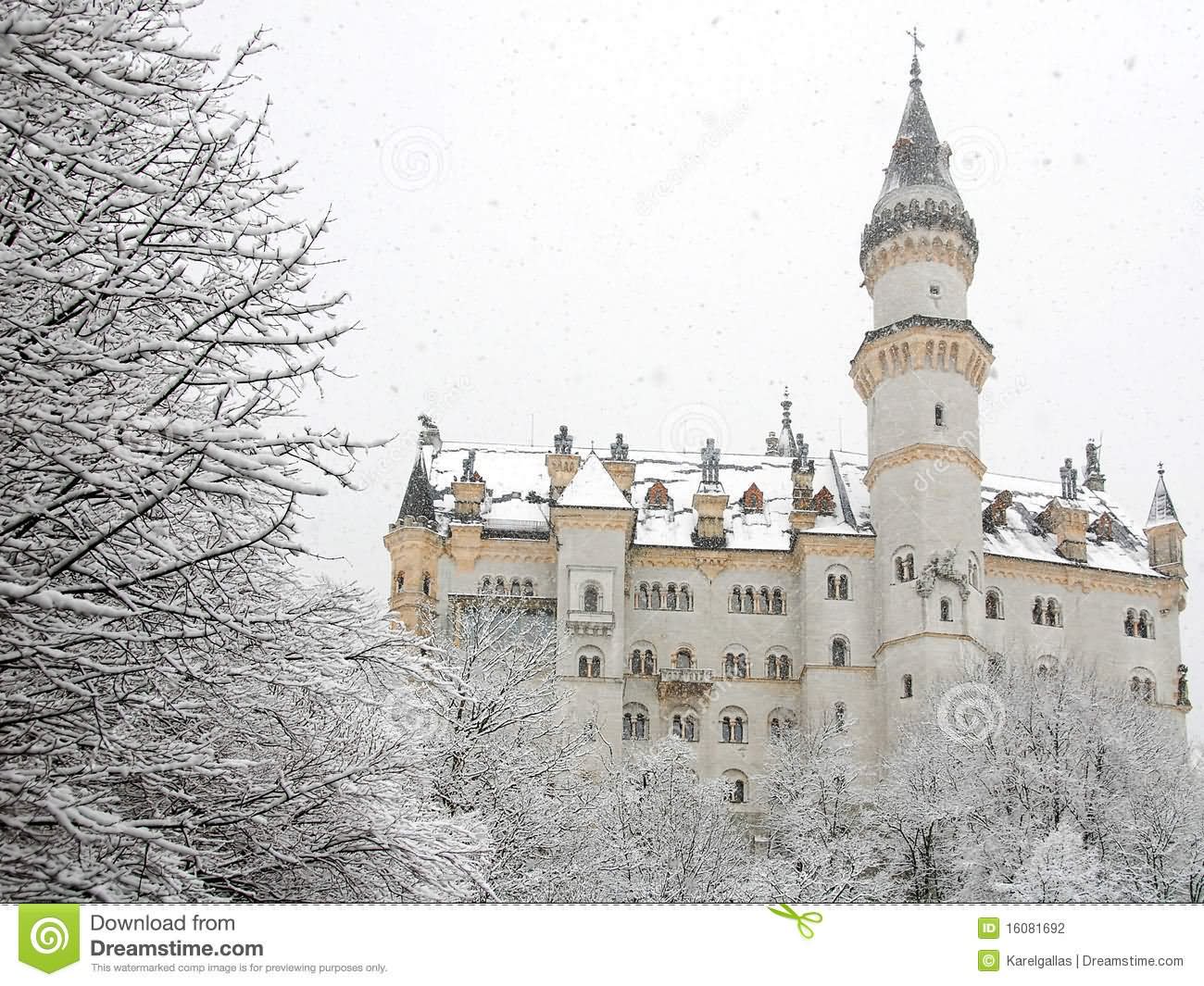 Neuschwanstein Castle In Winter, Germany