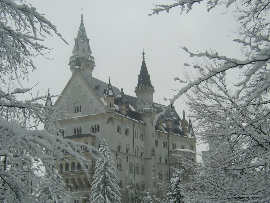 Neuschwanstein Castle In Winter Image