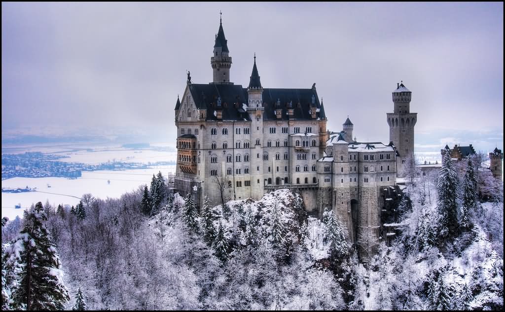 Neuschwanstein Castle In Winters Picture