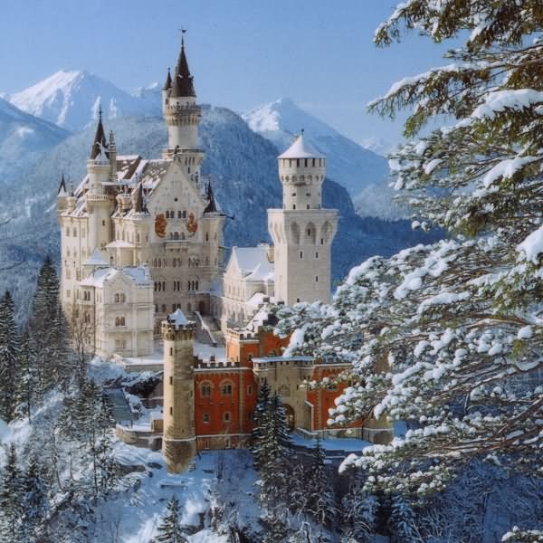 Neuschwanstein Castle Looks Amazing With Winter Snow Picture