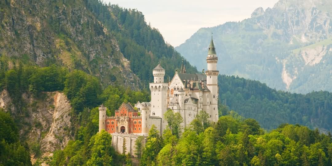 Neuschwanstein Castle Stands Amongst Trees On A Mountain Side Picture