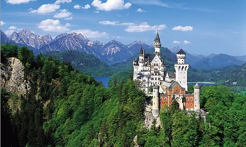 Neuschwanstein Castle Surrounded With Green Trees