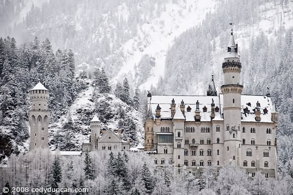Neuschwanstein Castle With Winter Snow Picture