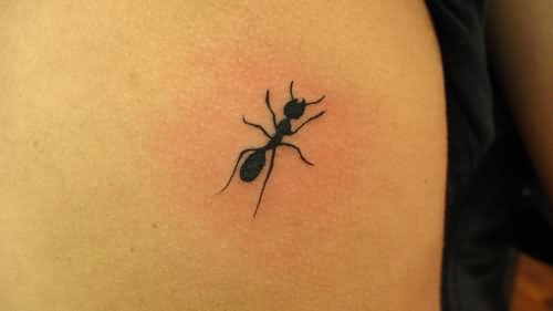 Nice Black Ant Tattoo