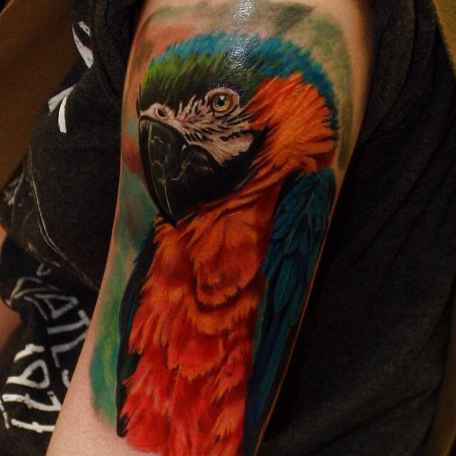 Nice Parrot Tattoo On Left Half Sleeve by Alan Ramirez