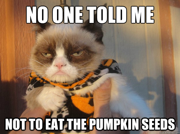 No One Told Me Not To Eat The Pumpkin Seeds Funny Pumpkin Meme Image