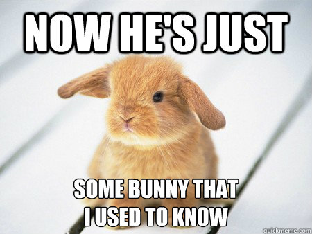 Now He's Just Some Bunny That I Used To Know Funny Bunny Meme Image