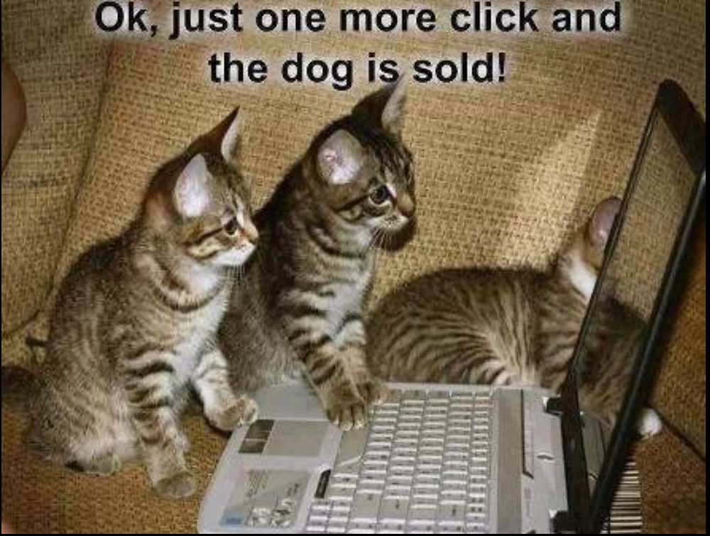 Ok Just One More Click And The Dog Is Sold Funny Technology Meme Image