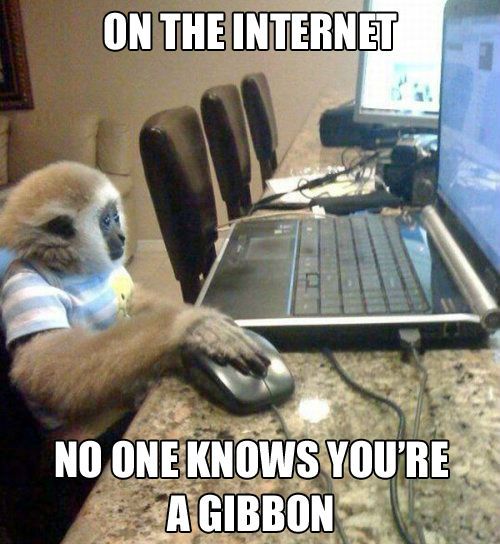 On The Internet No One Knows You Are A Gibbon Funny Nonsense Meme Picture