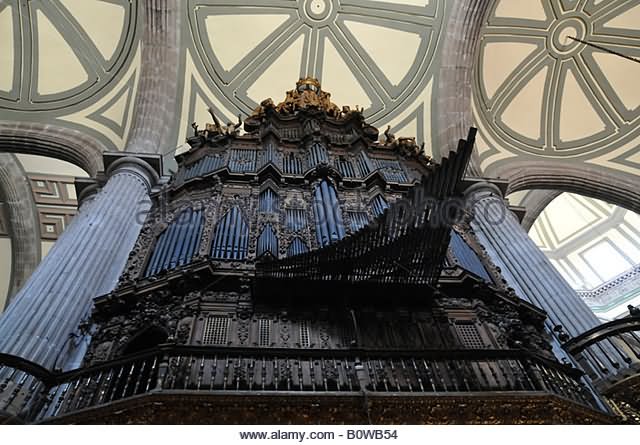 Organ Inside The Metropolitan Cathedral Of Mexico City