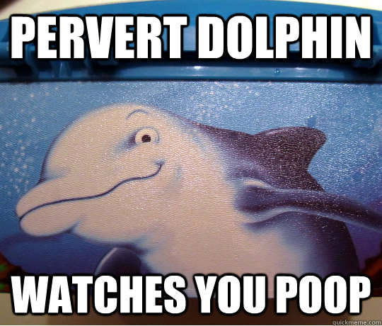 Pervert Dolphin Watches You Poop Funny Dolphin Meme Image