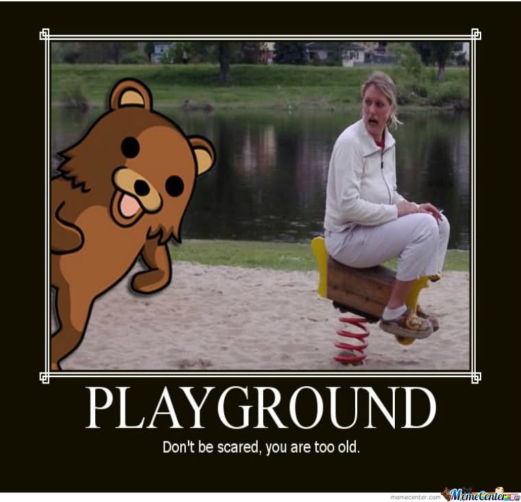 Playground Don't Be Scared You Are Too Old Funny Safety Meme Poster