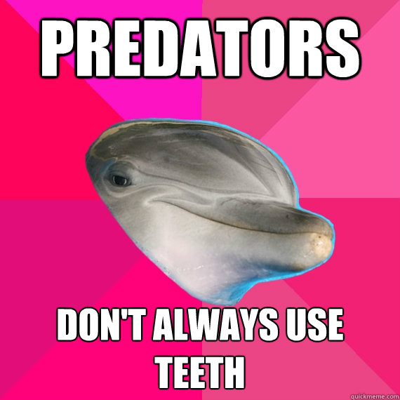 Predators Don't Always Use Teeth Funny Dolphin Meme Image