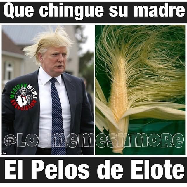 Que Chingue Su Madre Ei Pelos De Elote Funny Donald Trump Meme Image