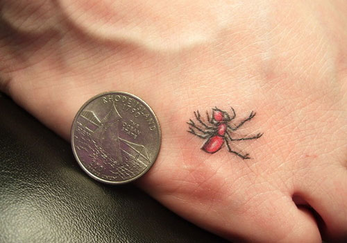 Red Ant Tattoo On Right Foot
