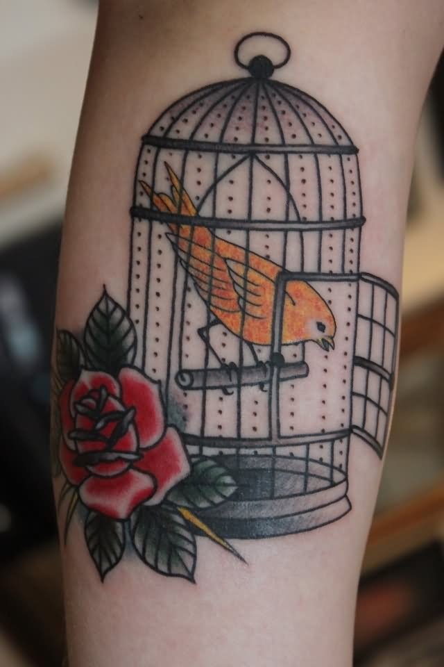 Red Rose And Bird In Cage Tattoo On Arm