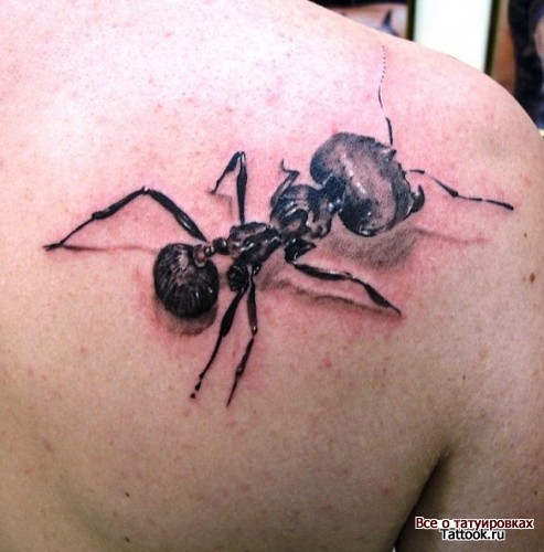 Right Back Shoulder Ant Tattoo