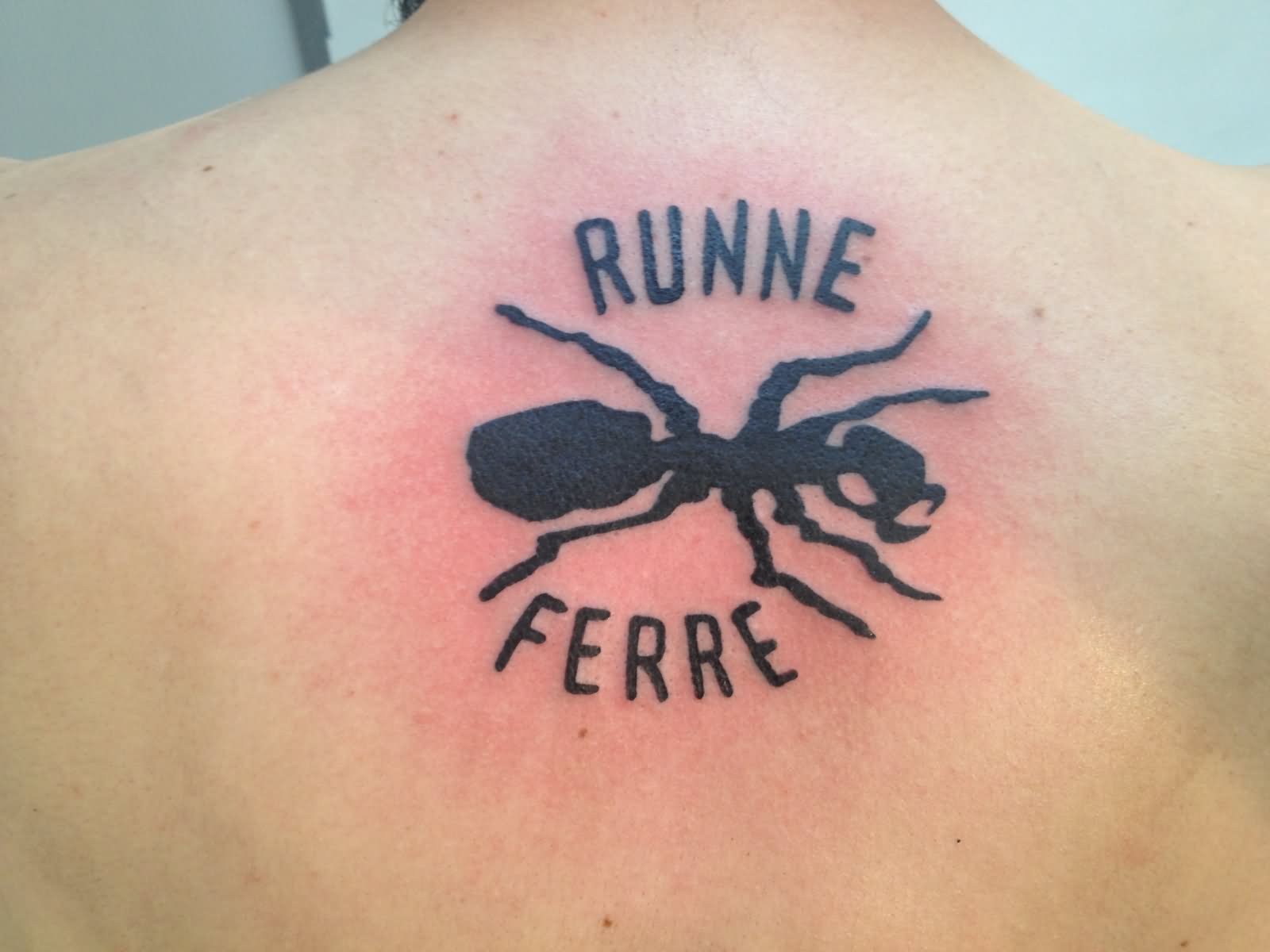 Runne Ferre Black Ant Tattoo On Upper Back