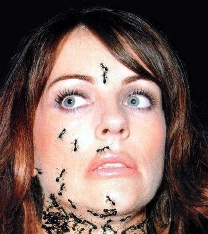 Scary Ant Tattoos On Face
