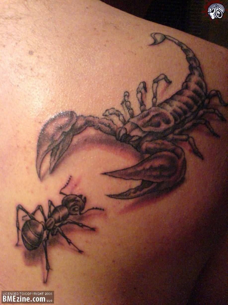 Scorpio And Ant Tattoo On Right Back Shoulder