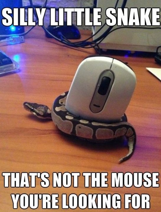Silly Little Snake That's Not The Mouse You Are Looking For Funny Mouse Meme Image