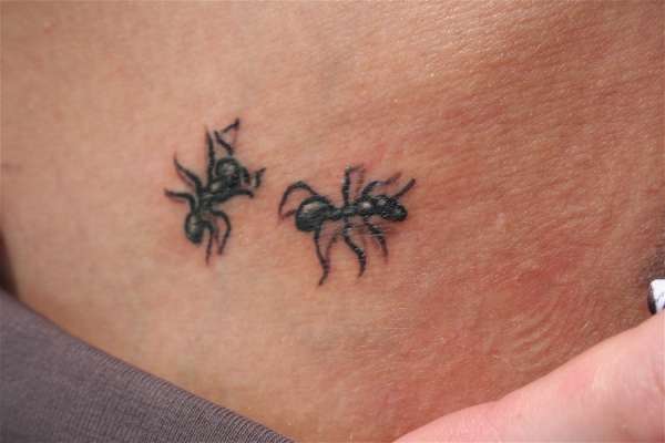 Simple Two Ants Tattoo