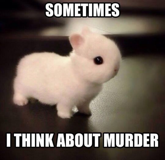 Sometimes I Think About Murder Funny Bunny Meme Image
