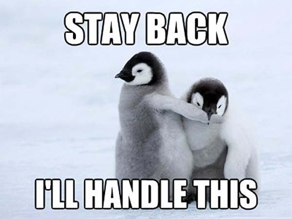 Stay Back I Will Handle This Funny Fight Meme Picture