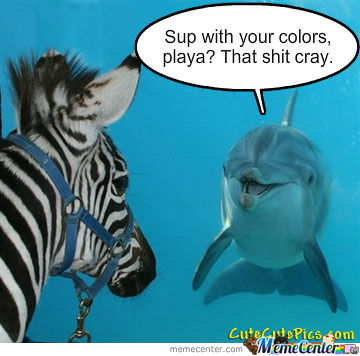 Sup With Your Colors Play That Shit Cray Funny Dolphin Meme Image
