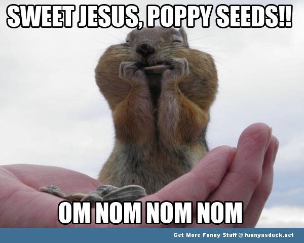 Sweet Jesus, Poppy Seeds Om Nom Nom Nom Funny Eating Meme Image