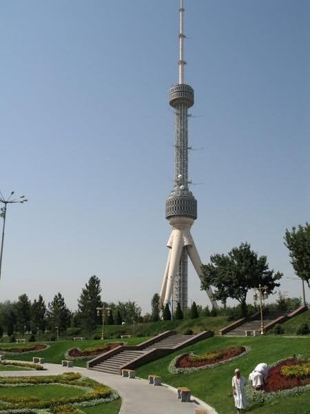 Tashkent TV Tower Picture