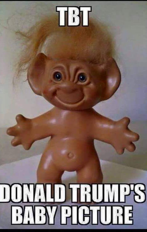 Tbt Donald Trump's Baby Picture Funny Meme Image