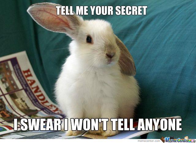 Tell Me Your Secret Funny Bunny Meme Image