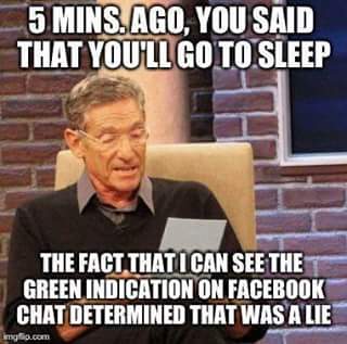 The Fact That I Can See The Green Indication On Facebook Chat Determined That Was A Lie Funny Online Meme Image
