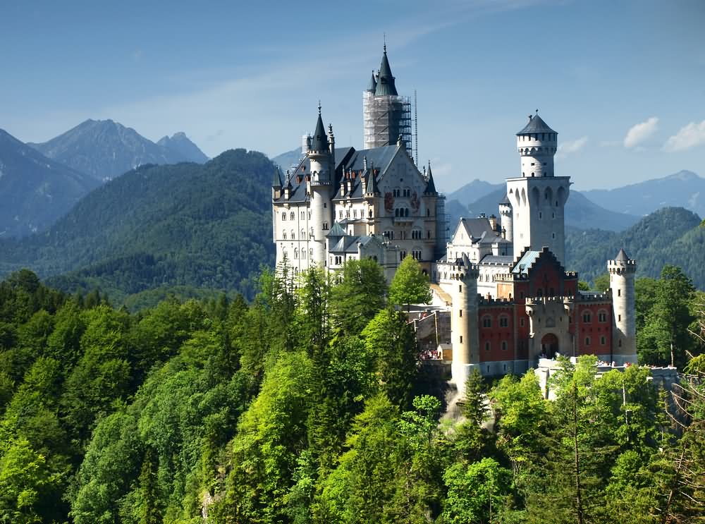 The Neuschwanstein Castle Covered With Green Trees