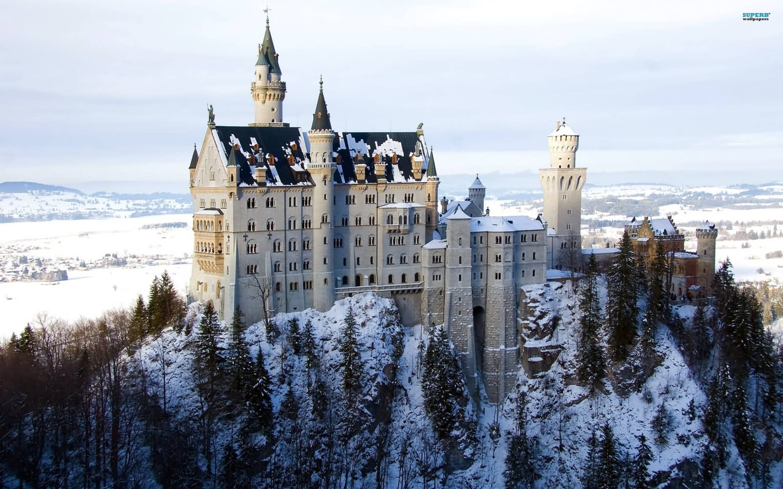 The Neuschwanstein Castle Covered With Snow Image