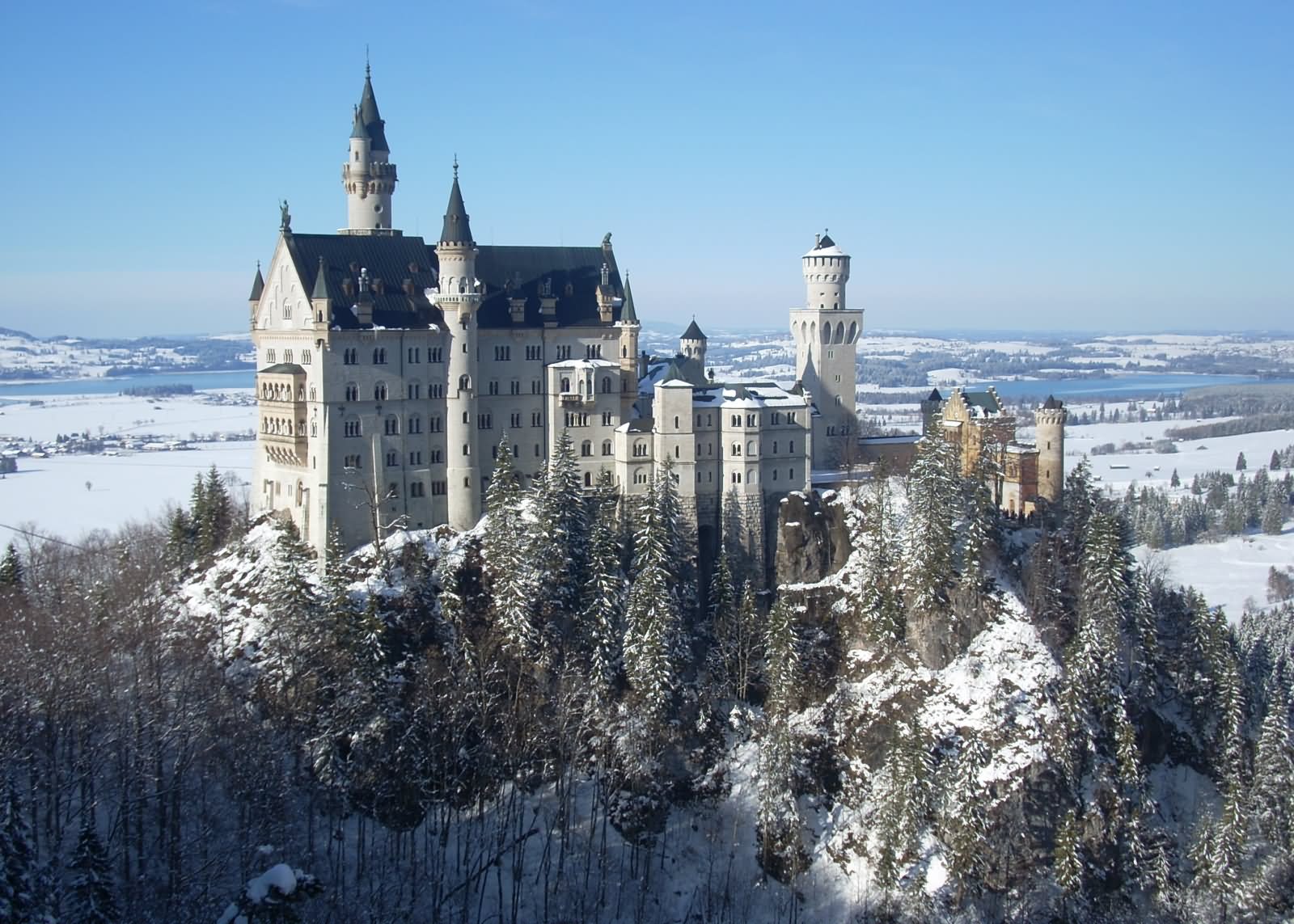 The Neuschwanstein Castle Covered With Snow