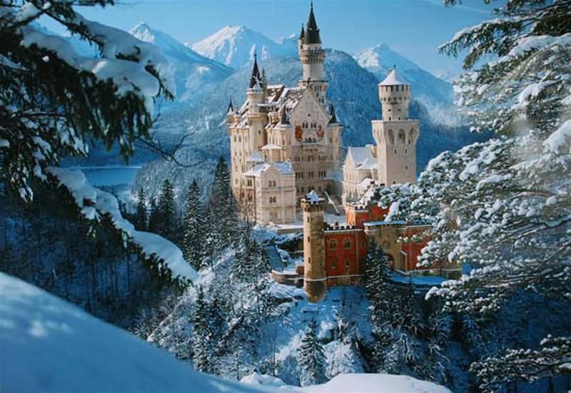 The Neuschwanstein Castle During Winter Season With Snow Picture