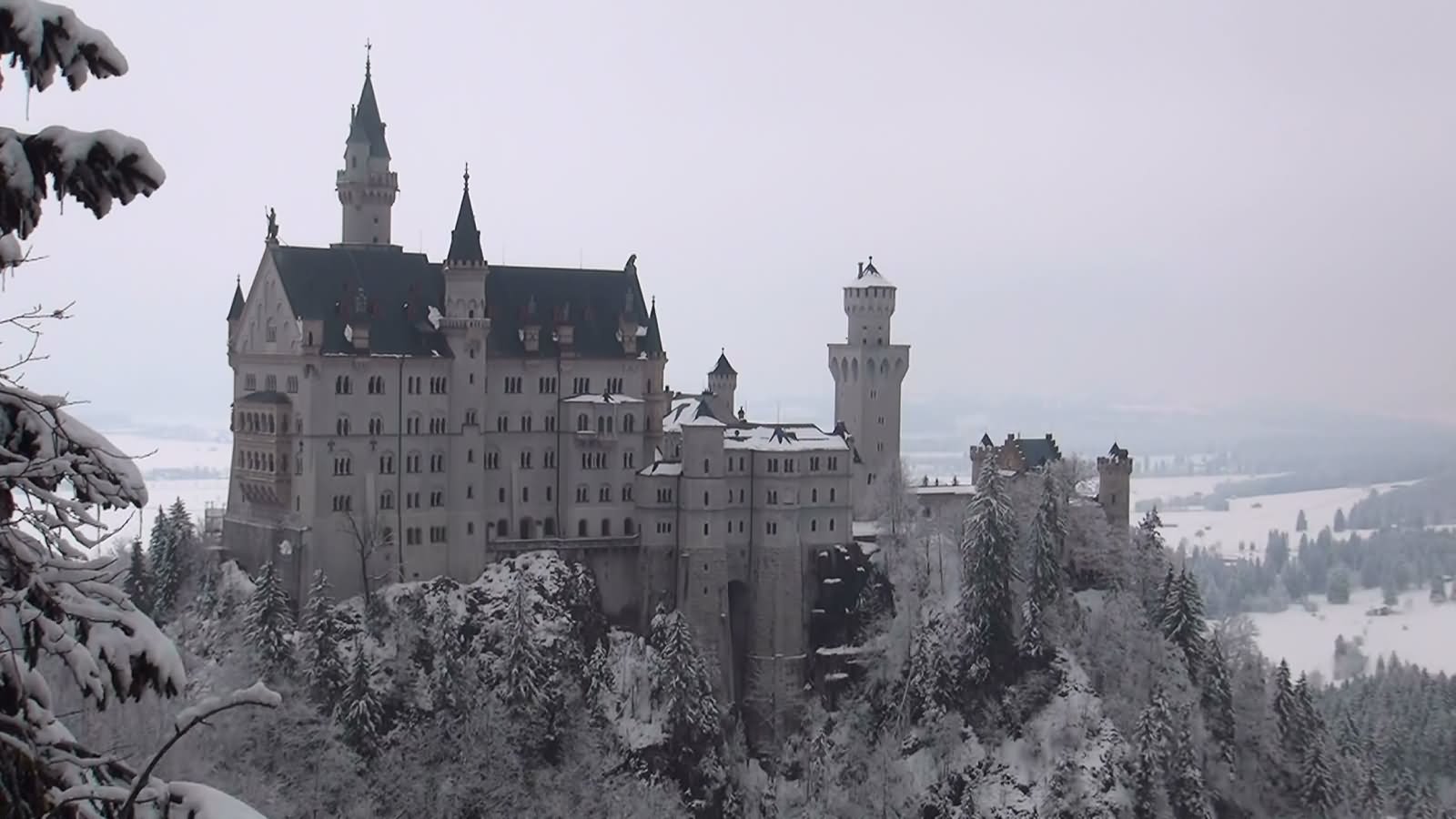 The Neuschwanstein Castle In Winters Picture