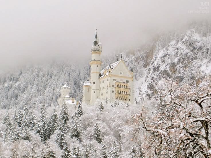 The Neuschwanstein Castle With Winter Snow In Germany