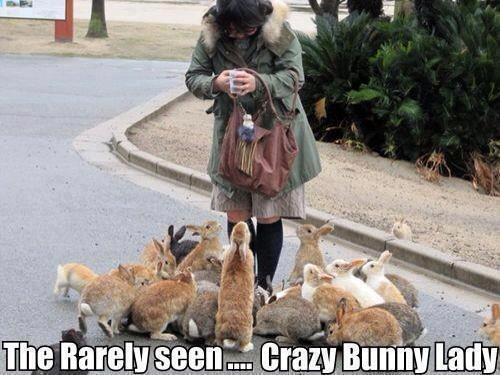 The Rarely Seen.... Crazy Bunny Lady Funny Meme Picture