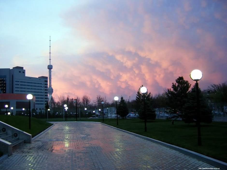 The Tashkent TV Tower During Sunset Picture