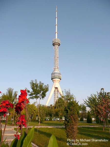 The Tashkent Tower View From Park Picture