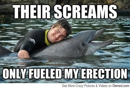 Their Screams Only Fueled My Erection Funny Dolphin Meme Picture