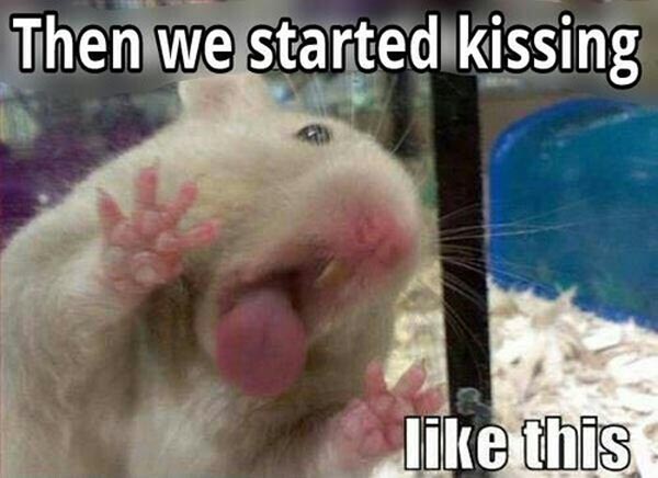 Then We Started Kissing Like This Funny Mouse Meme Image